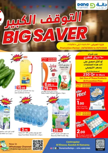 دانا ماركت - Big Saver in قطر Offers - قطر Big Saver