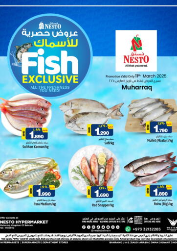 عروض نستو البحرين في دي٤دي أونلاين. عروض حصرية للاسماك @ المحرق. . Only On 11th March