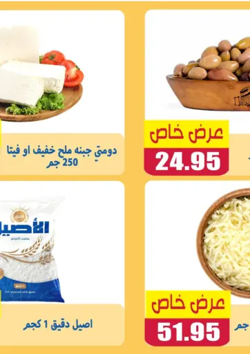Special Offer