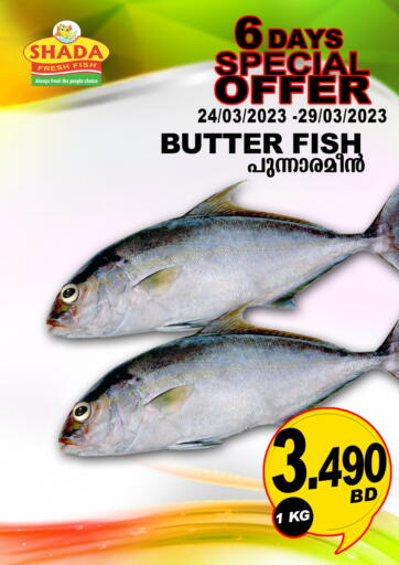 Bahrain Shada Fish offers in D4D Online. 6 Days Special Offer. . Till 29th March