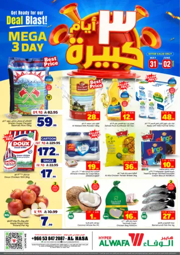 Mega 3 Day