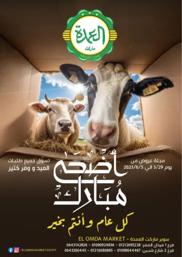 Elomda Market - Special Offer in Egypt Offers - Egypt Special Offer