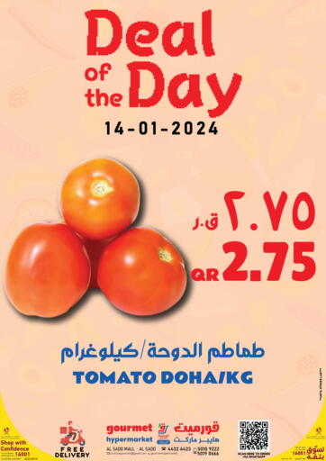 Qatar - Al Khor Gourmet Hypermarket offers in D4D Online. Deal Of The Day. . Only On 14th January