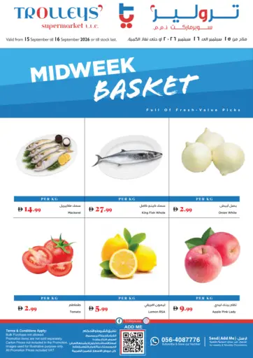 Midweek Basket