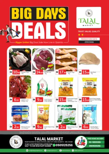 Near Mussaffa Sub Station MBZ City ME-12