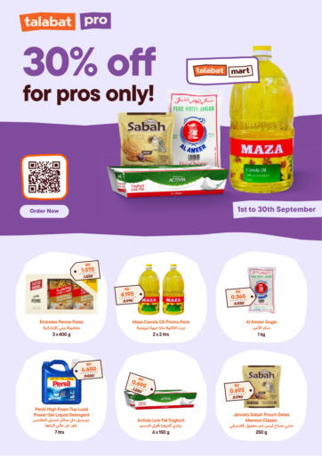 30% Off For Pros Only!