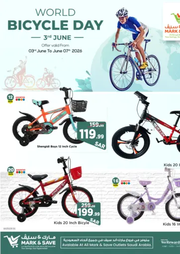 World Bicycle Day