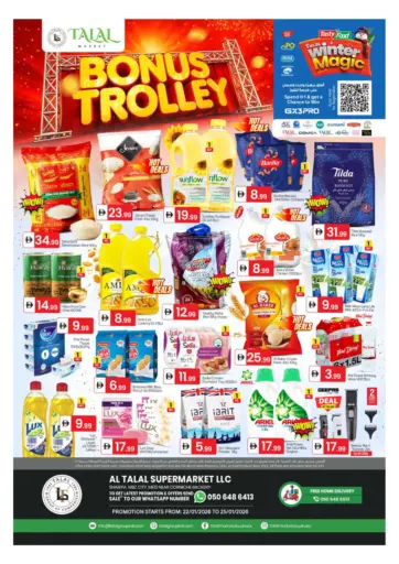 Shabiya Me 12 - Abudhabi