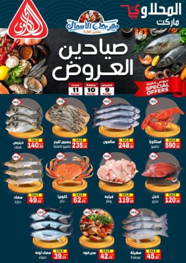 Egypt - Cairo El Mahallawy Market  offers in D4D Online. Hunters Offers. . Till 11th June