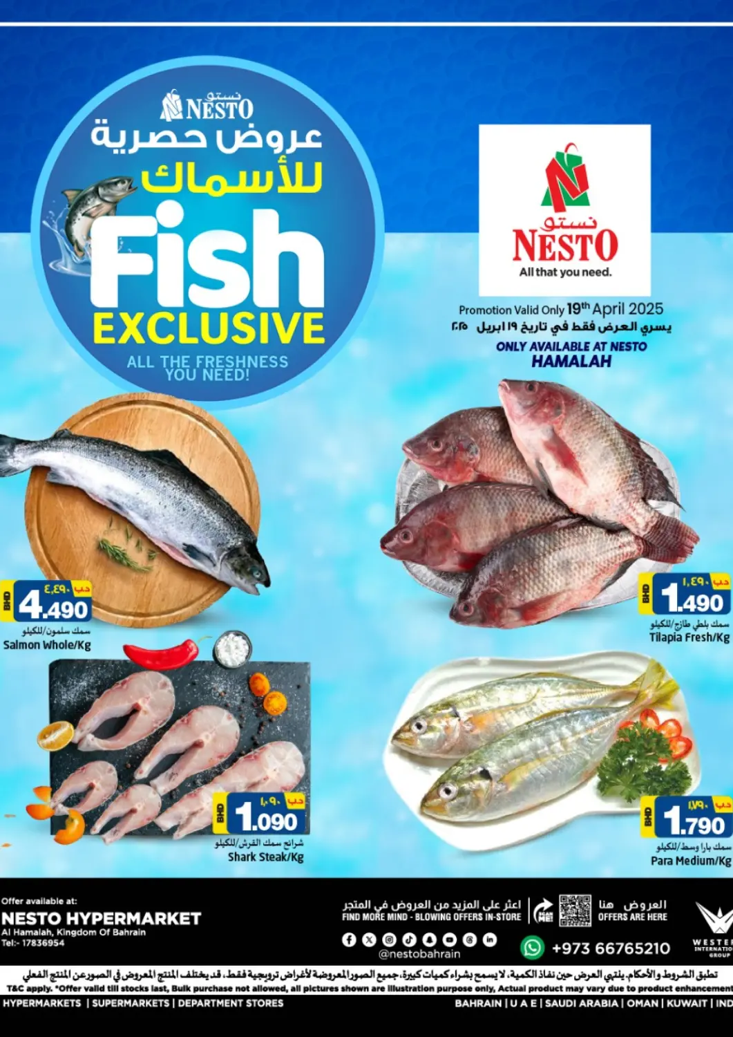 Bahrain NESTO  offers in D4D Online. Fish Exclusive - Hamalah. . Only on19th April