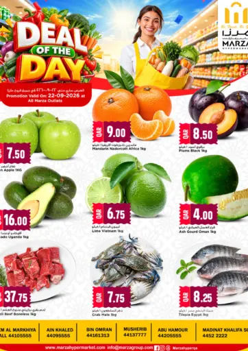 Deal Of The Day