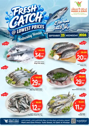 Fresh Catch @ Lowest Price