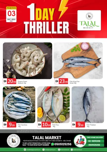 Shabiya ME 12 - Abudhabi