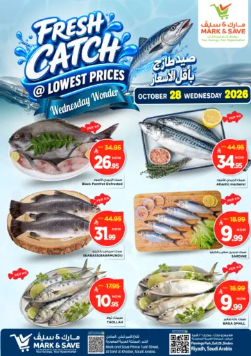 Fresh Catch @ Lowest Price