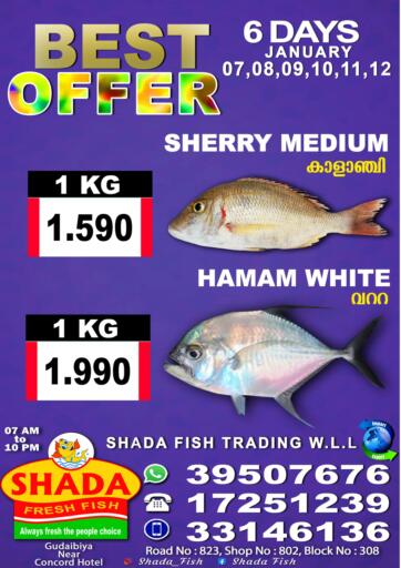 Bahrain Shada Fish offers in D4D Online. Best Offer. . Till 12th January