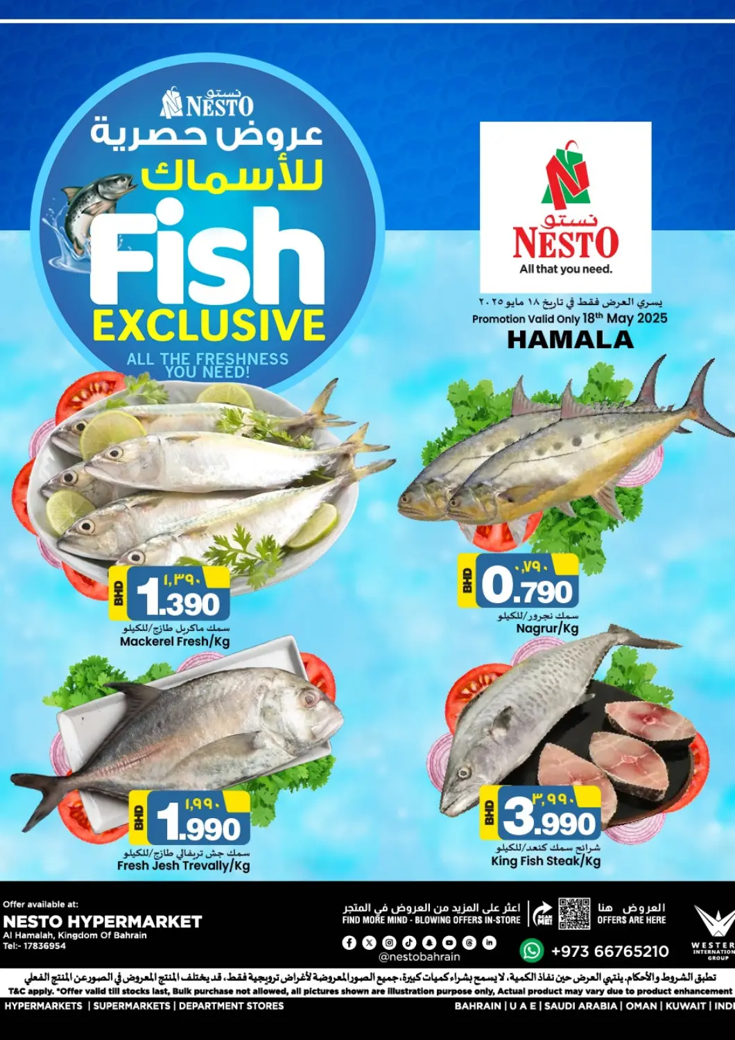 Bahrain NESTO  offers in D4D Online. Fish Exclusive - Hamalah. . Till 18th May