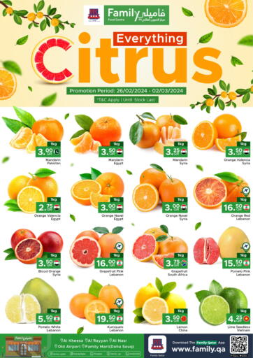 Everything Citrus