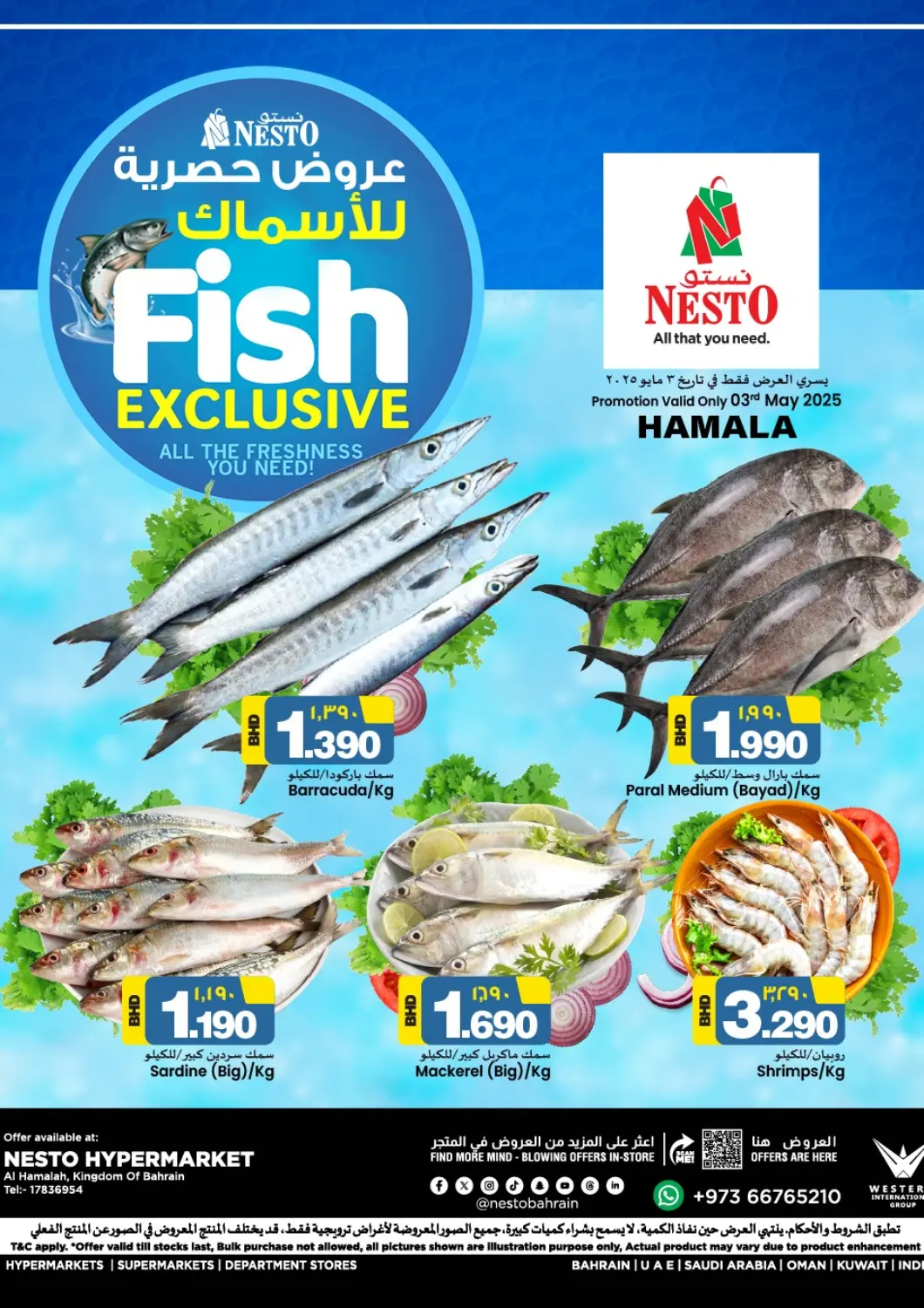 Bahrain NESTO  offers in D4D Online. Fish Exclusive. . Only On 3rd May