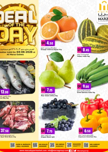 Deal Of The Day