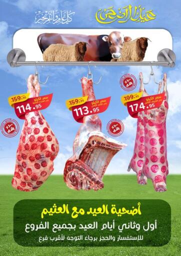 Egypt - Cairo Othaim Market   offers in D4D Online. Special Offer. . Until Stock Last