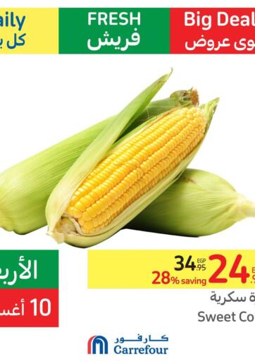 Egypt - Cairo Carrefour  offers in D4D Online. Daily Fresh. . Only On 10th August