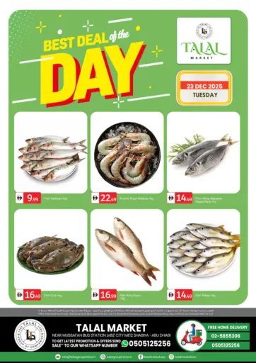 Near Musaffah Bus Station,MBZ City,Shabiya ME 12