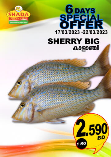 Bahrain Shada Fish offers in D4D Online. Special Offer. . Till 22nd March