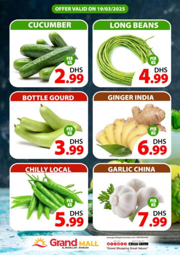 UAE - Sharjah / Ajman Grand Hyper Market offers in D4D Online. Al Musallah - Sharjah. . Only On 19th March