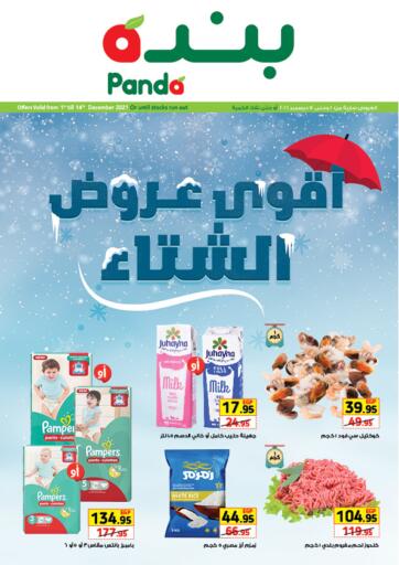Egypt - Cairo Panda  offers in D4D Online. Best Winter Deals. . Till 14th December