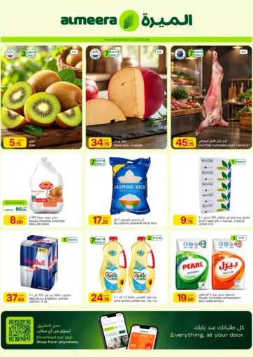 Special Offer