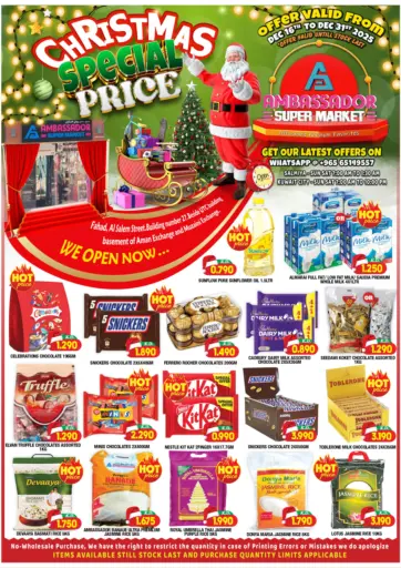 Christmas Special Price
