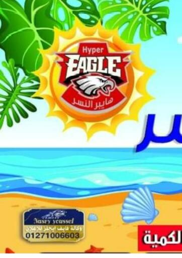 Egypt - Cairo Hyper Eagle offers in D4D Online. Special Offer. . Until Stock Last