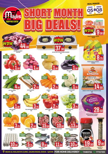 Qatar - Al Rayyan Majlis Shopping Center offers in D4D Online. Smart Month Big Deals. . Till 8th February