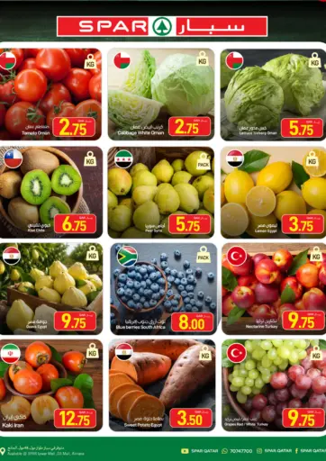 Fresh Offers