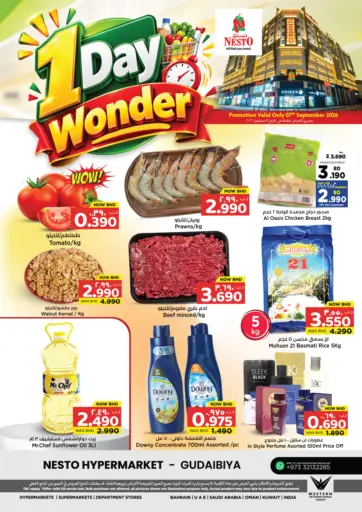 1 Day Wonder