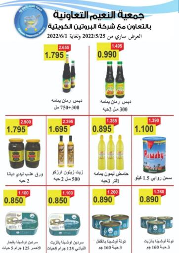 Kuwait - Ahmadi Governorate  Al Naeem coop offers in D4D Online. Special Offer. . Till 1st June