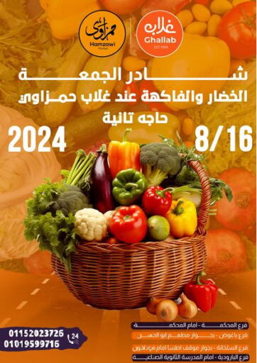 Egypt - Cairo Ghallab Market offers in D4D Online. Special Offer. . Only On 16th August