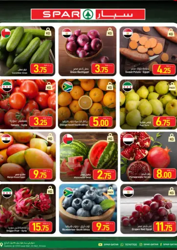 Special Offer
