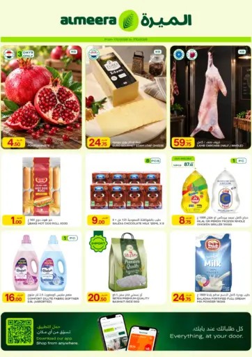 Special Offer