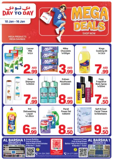 البرشاء ١، دبي