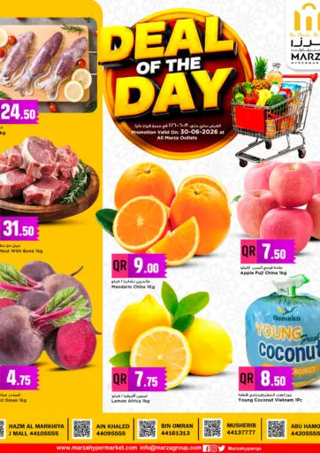 Deal of the Day
