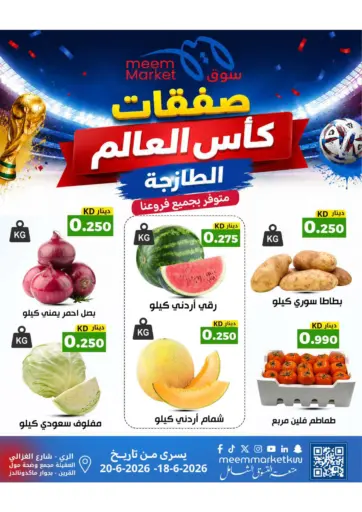 Special Offer