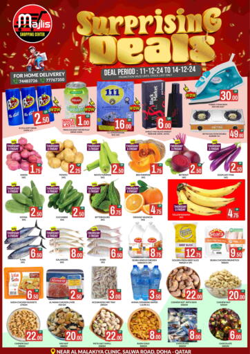 Qatar - Al Rayyan Majlis Shopping Center offers in D4D Online. Surprising Deals. . Till 14th December