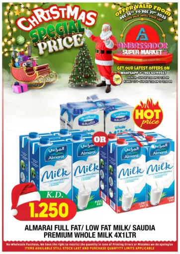 Christmas Special Price
