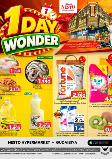 1 Day Wonder