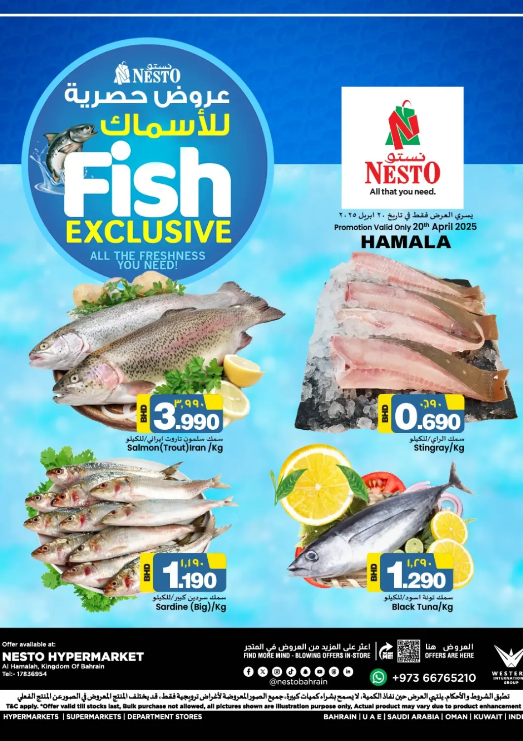Bahrain NESTO  offers in D4D Online. Fish Exclusive @Hamalah. . Only On 20th April