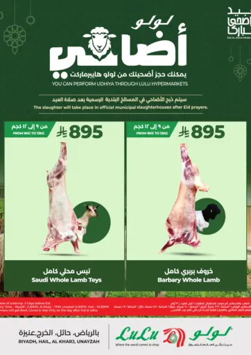 Special Offer