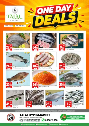 One Day Deals