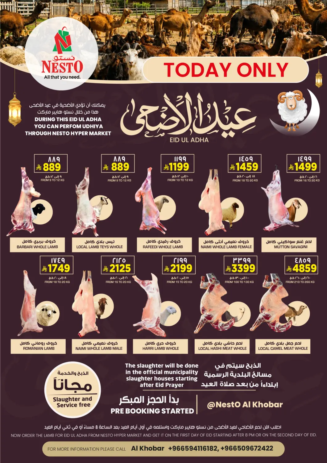 Saudi Arabia Nesto offers in D4D Online. Eid-Ul Adha Mubarak Offers. . Only On 27th May