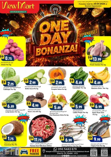 One Day Bonanza